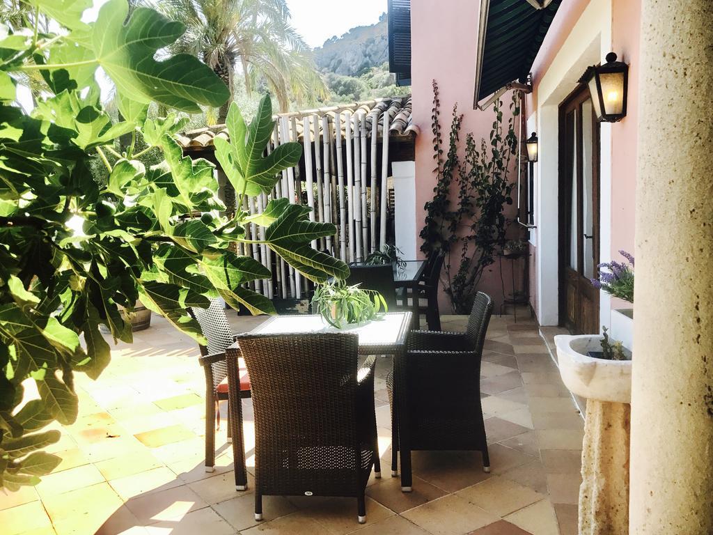 Apartament Puerto De Pollensa And Apartments, With Private Mountain Ideal For Runners, Trailers,near Approximately 5 Minutes Walking, Unique Experience In A Ullal Old Typical Mallorca House With Private Mountain And Near To The Beac *