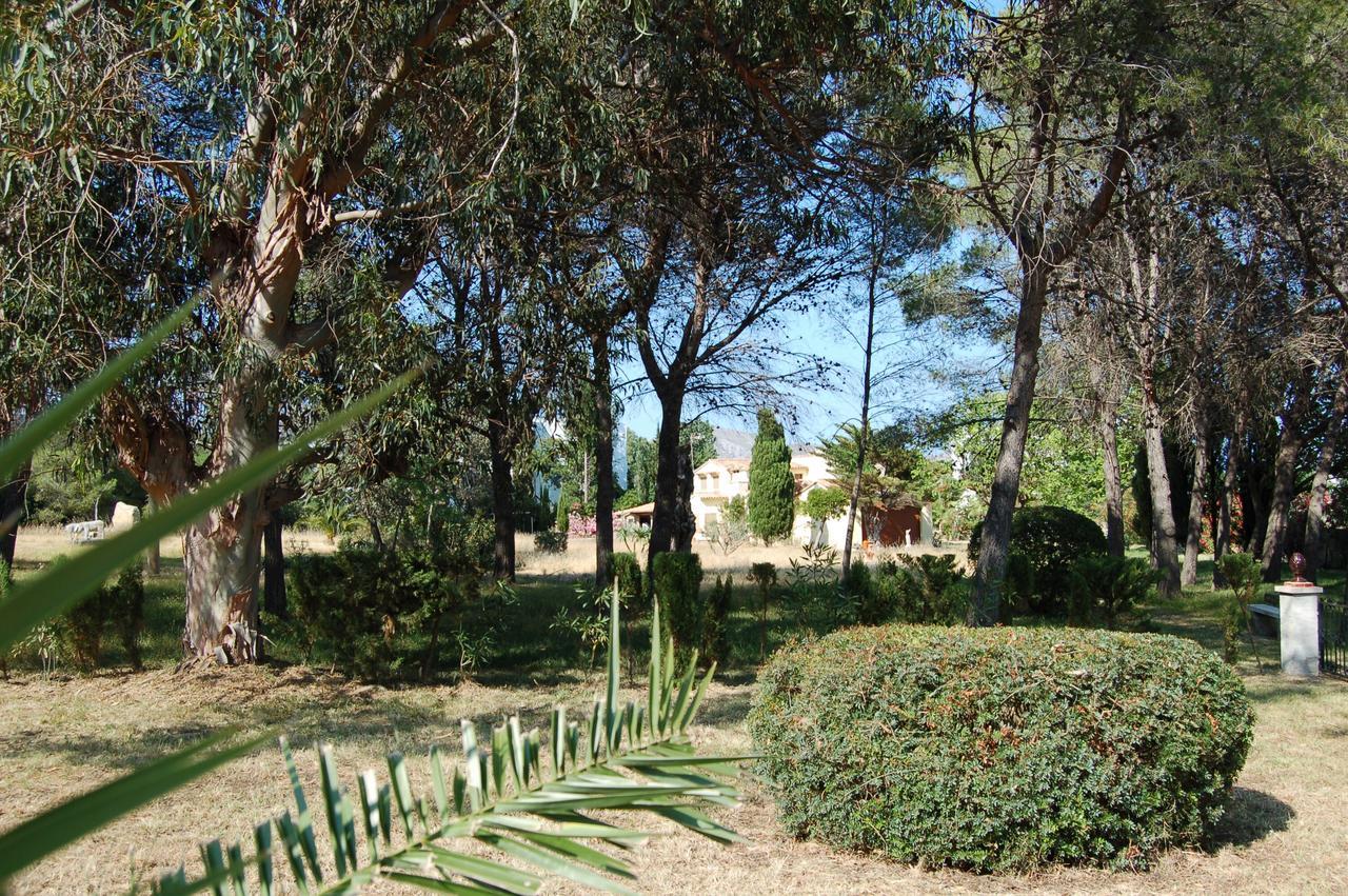 Puerto De Pollensa And Apartments, With Private Mountain Ideal For Runners, Trailers,near Approximately 5 Minutes Walking, Unique Experience In A Ullal Old Typical Mallorca House With Private Mountain And Near To The Beac Apartament *